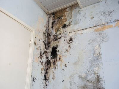 About AquaNest Crew - water damage restoration experts in Vista